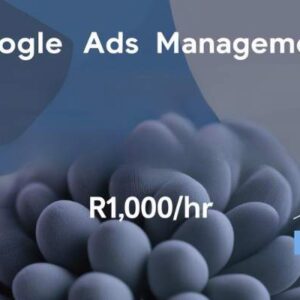 Google Ads Management