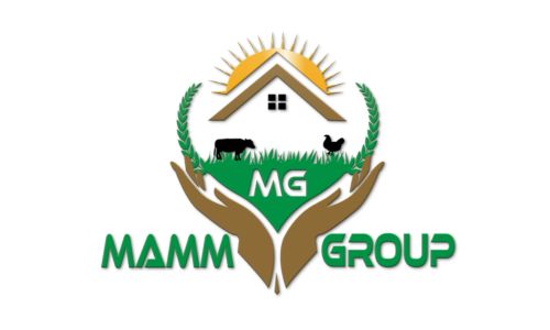Mamm Group